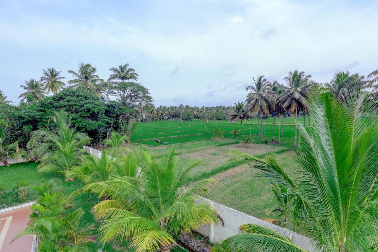 Brindavan Garden Resort & Spa Krishnarajasagara المظهر الخارجي الصورة